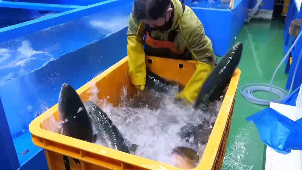 避免被站外镜像带偏